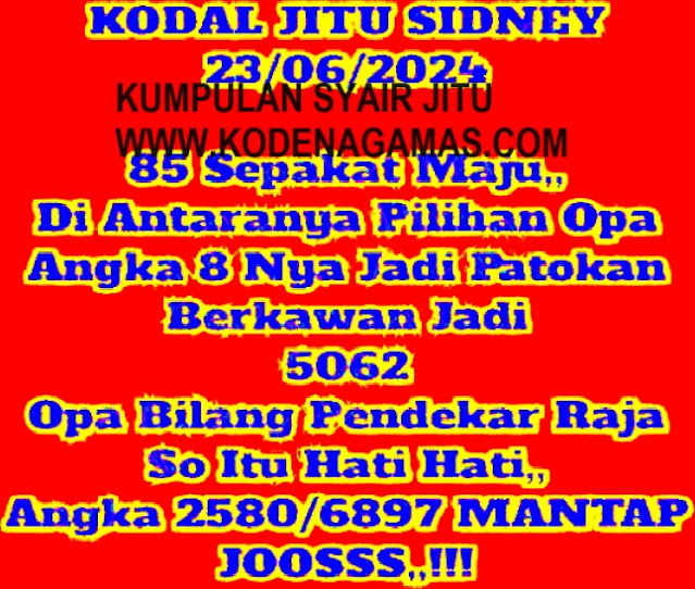 SYAIR SDY VIP